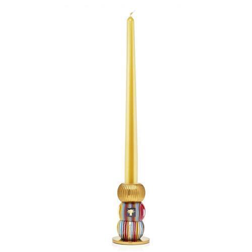 Baobab Candle Holder