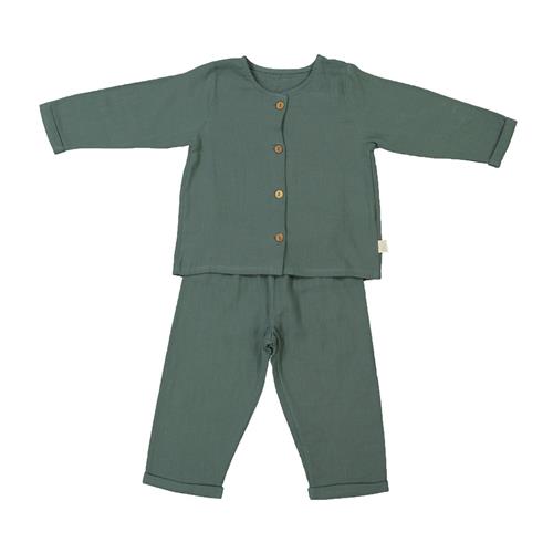 Thomas Pajamas / Fern